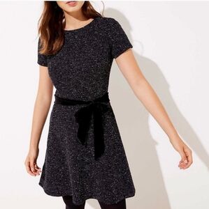 NWT, Loft dress, size 14